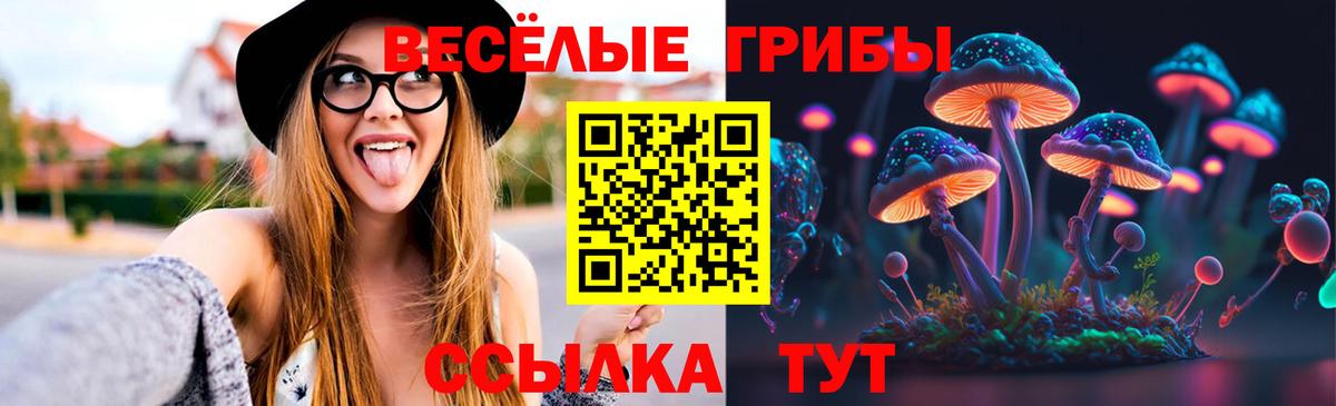 Галлюциногенные грибы прущие грибы Рузаевка
